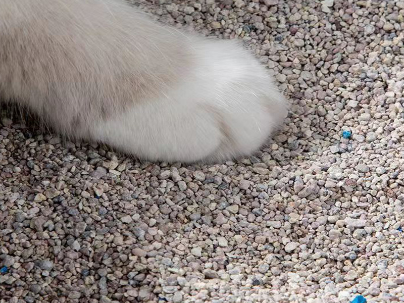 Irregular Shape Bentonite Cat Litter