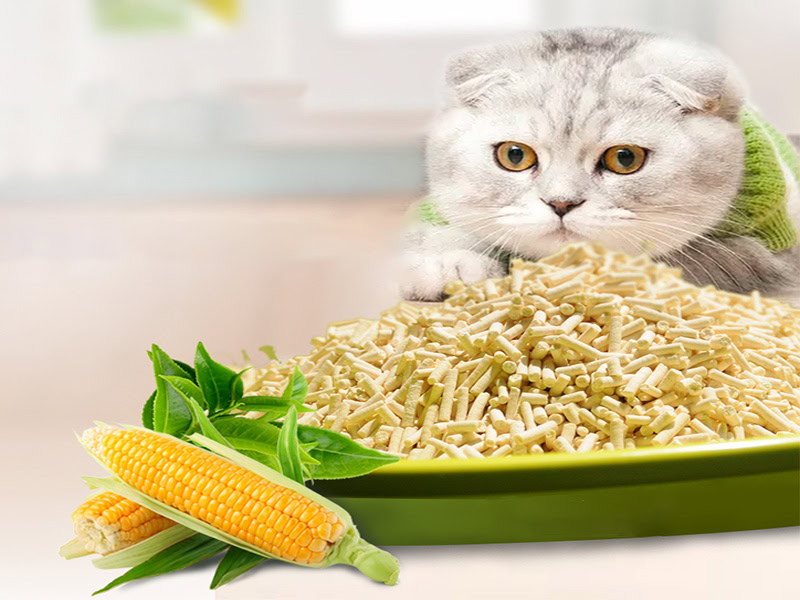 Tofu Cat Litter,Areia De Gato Tofu,Наполнитель для Кошек из Тофу